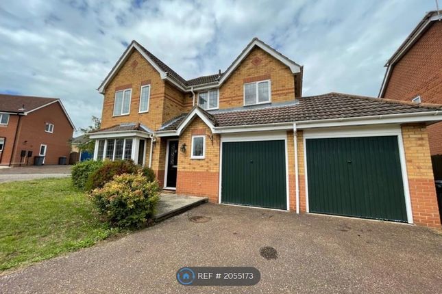 Thumbnail Detached house to rent in Kentwell Close, Rushmere St. Andrew, Ipswich