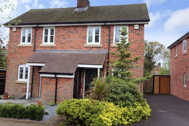 Thumbnail Semi-detached house for sale in Hazel Grove, Bishops Waltham