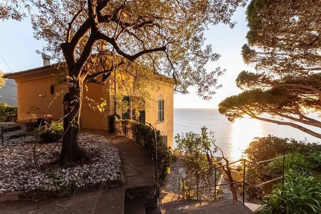 Villa for sale in Liguria, Genova, Camogli
