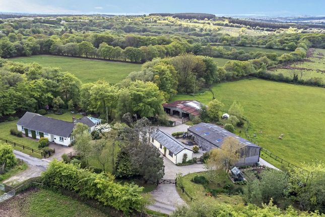 Thumbnail Bungalow for sale in Ashwater, Beaworthy