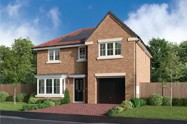 Thumbnail Detached house for sale in "The Kirkwood" at Off Durham Lane, Eaglescliffe