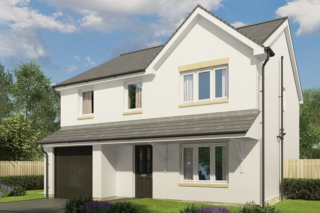 Thumbnail Detached house for sale in "The Fraser - Plot 689" at Milton Bridge, Penicuik