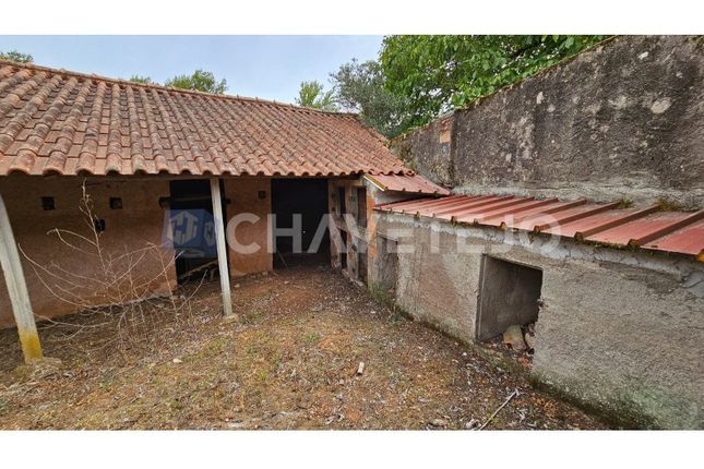 Cottage for sale in Barqueiro, Maçãs De Dona Maria, Alvaiázere
