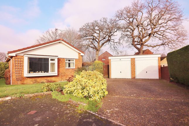 Thumbnail Detached bungalow to rent in Fairbourne Close, Woking