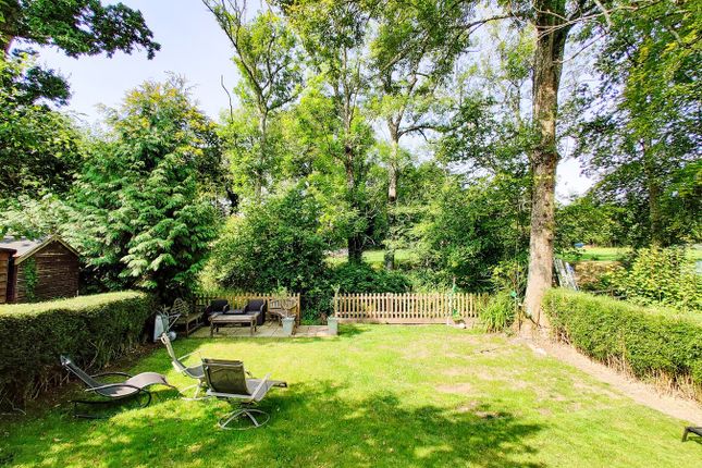 10, Canterton Lane, Lyndhurst photo 3
