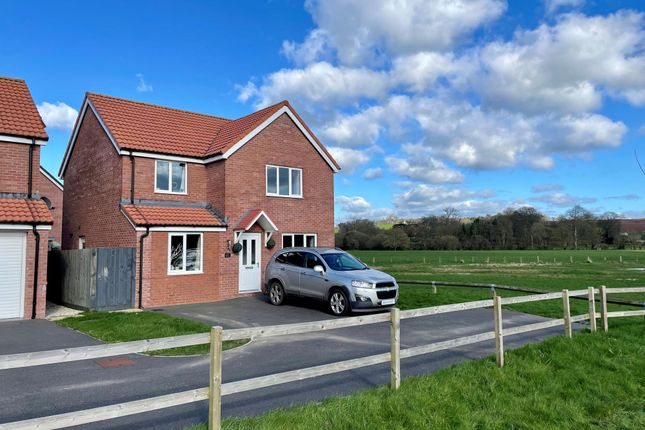 Thumbnail Detached house for sale in Willow Walk, Crediton