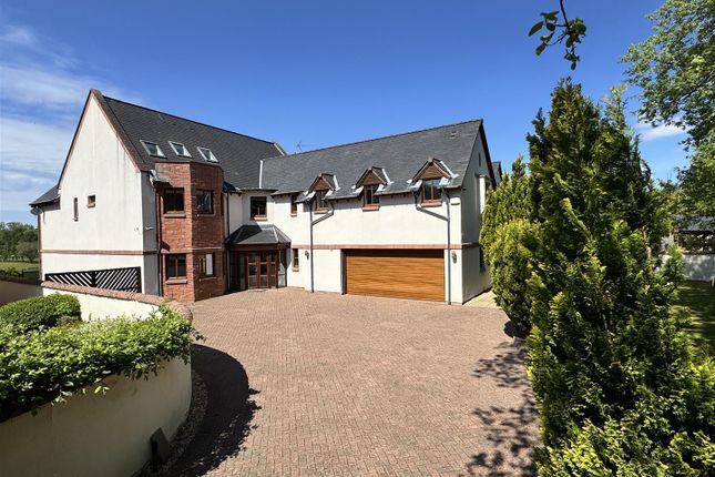 Front External
