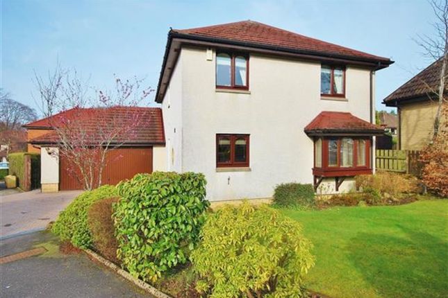Thumbnail Detached house to rent in Murieston Park, Murieston, Livingston