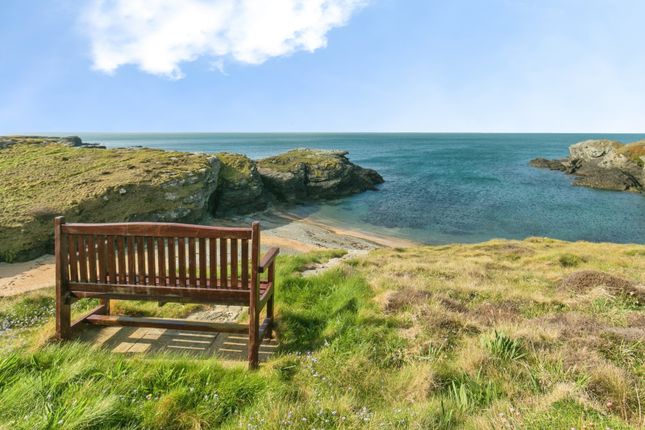 Moryn,, Lon Isallt, Holyhead photo 2