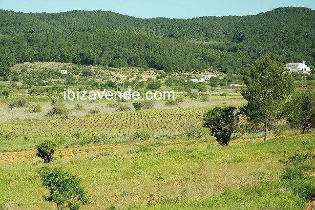 Thumbnail Commercial property for sale in Sant Mateu D'albarca, Baleares, Spain