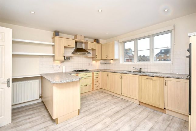 24, Phoenix Drive, Eastbourne photo 3