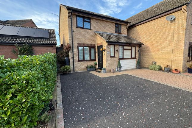 Photo-2025-11-13-13-05-45 (1)