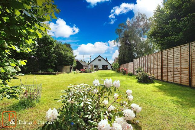 Thumbnail Bungalow for sale in Bourne Hill, Wherstead, Ipswich, Suffolk