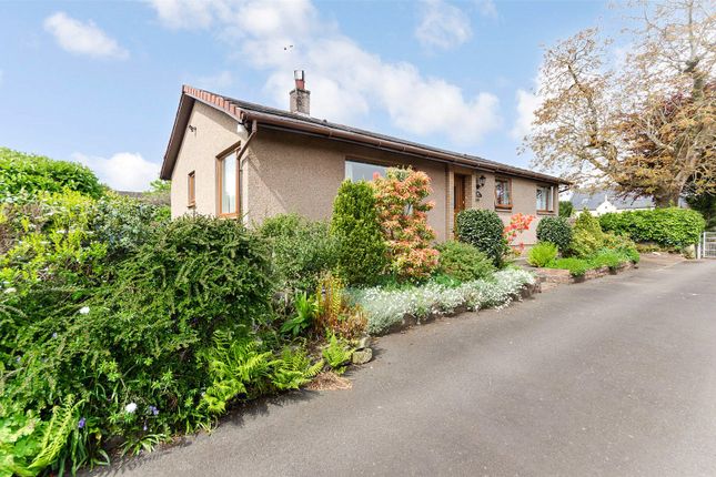 Thumbnail Bungalow for sale in Duke Street, Denny, Stirlingshire