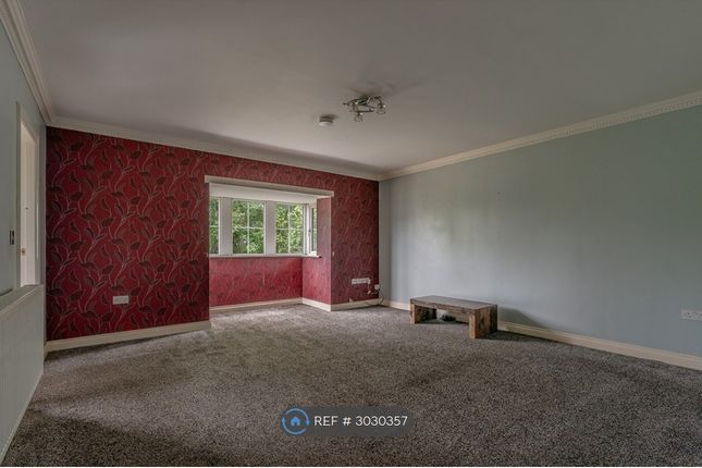 Marsden Mews, Nelson photo 4