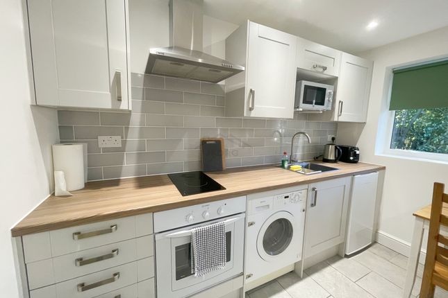 gardenroom02, Derwent Avenue, Kingston Vale photo 4