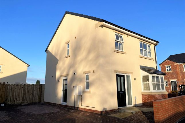 Thumbnail Detached house for sale in Briars Lane, Stainforth, Doncaster, South Yorkshire