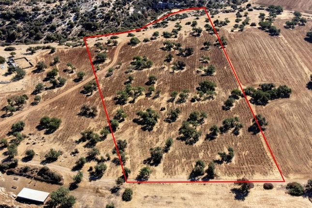 Land for sale in Paphos, Cyprus