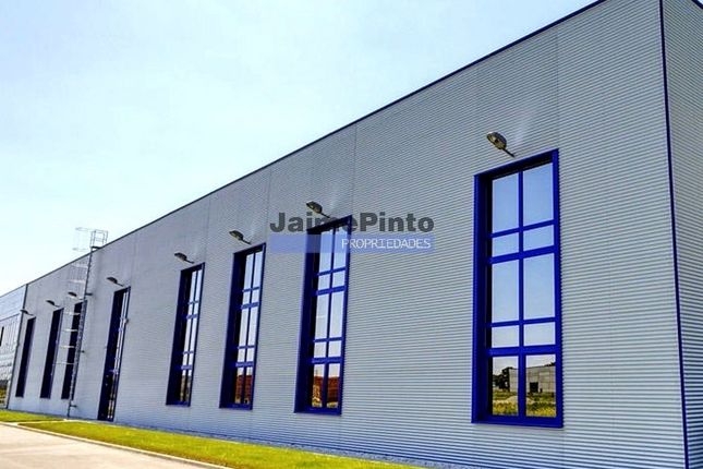 Warehouse for sale in Warehouse, Industrial Premises, 2 650Sqm, Glória E Vera Cruz, Aveiro (City), Aveiro, Central Portugal