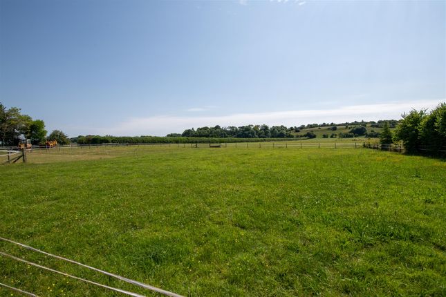Bentleigh Farm_31.07.24-58.Jpg
