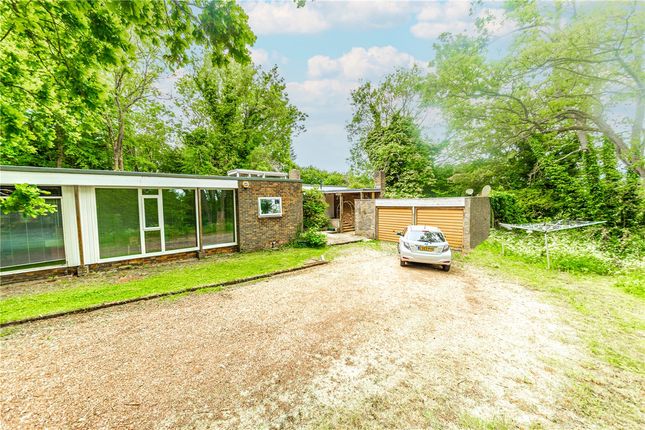 Thumbnail Bungalow for sale in Oldhill Wood, Studham, Dunstable, Bedfordshire
