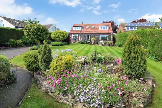 Detached bungalow for sale in Sand Lane, South Milford, Leeds