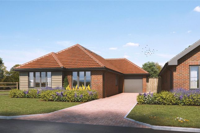 Thumbnail Bungalow for sale in Connaught Road, Weeley Heath, Essex