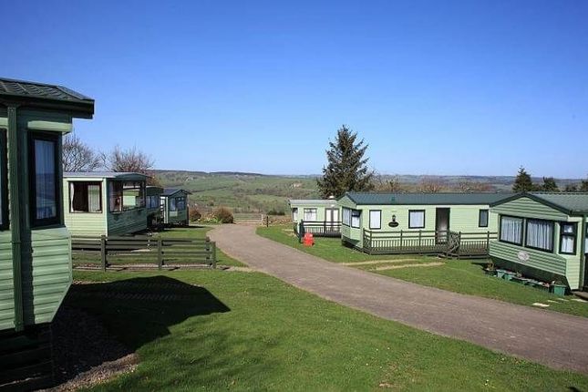 3, Greenacres Caravan Park, Hamsterley photo 4