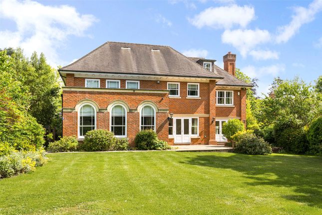 Rear Elevation