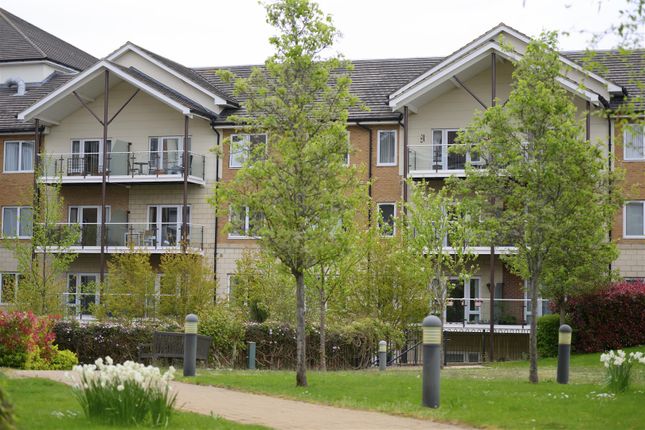 Chalkdell Drive, Shenley Wood photo 5
