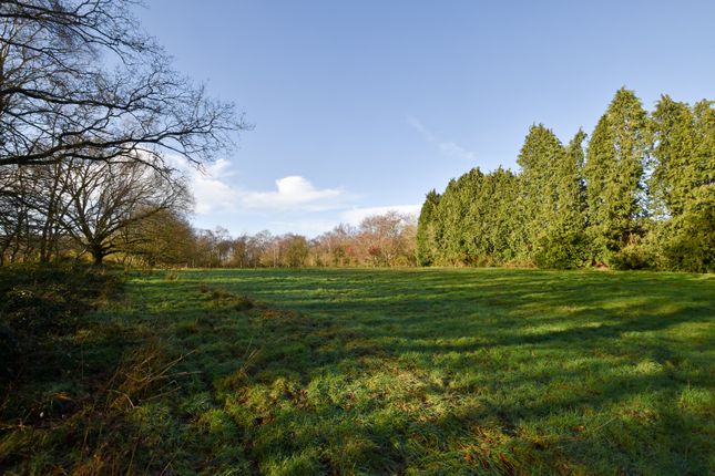 Meiklejohn, Market Drayton photo 2