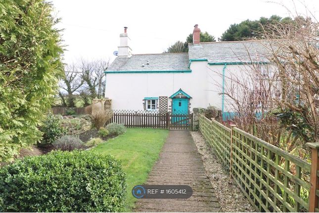 Thumbnail Semi-detached house to rent in Wrinkleberry, Higher Clovelly, Bideford