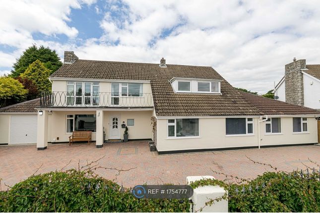 Thumbnail Detached house to rent in Carrbridge Close, Bournemouth