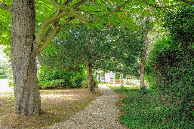 Woodland Area