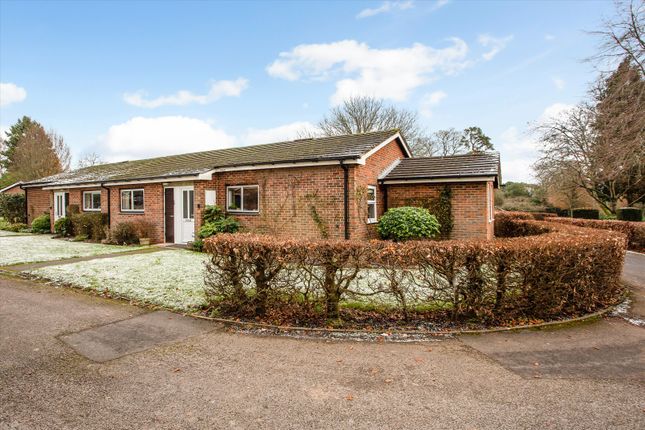 Thumbnail Bungalow for sale in Bedfield Lane, Headbourne Worthy, Winchester, Hampshire