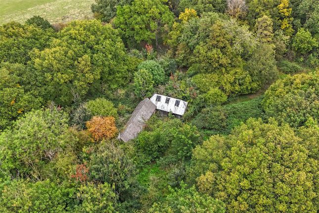 Studio house on The Barn, Roxwell, £450,000