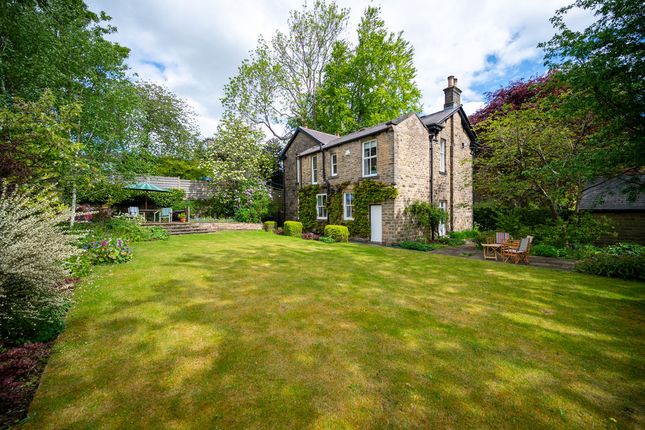 19, Lawson Road, Sheffield photo 3
