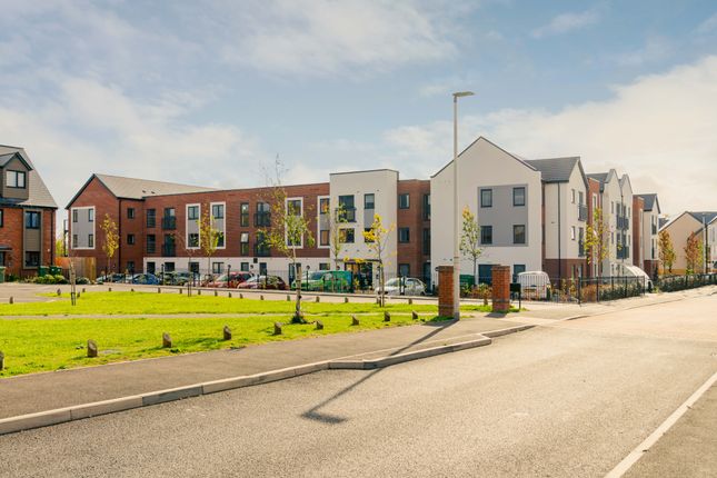 Pym Court