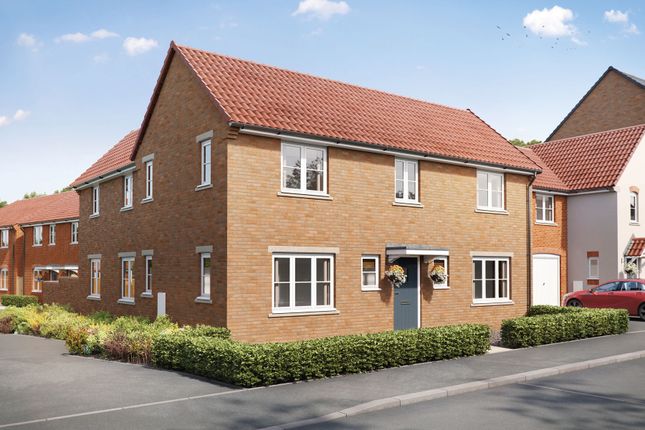 Thumbnail Detached house for sale in Elm Close, Wells