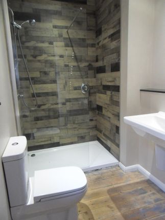 146, North Shields photo 5
