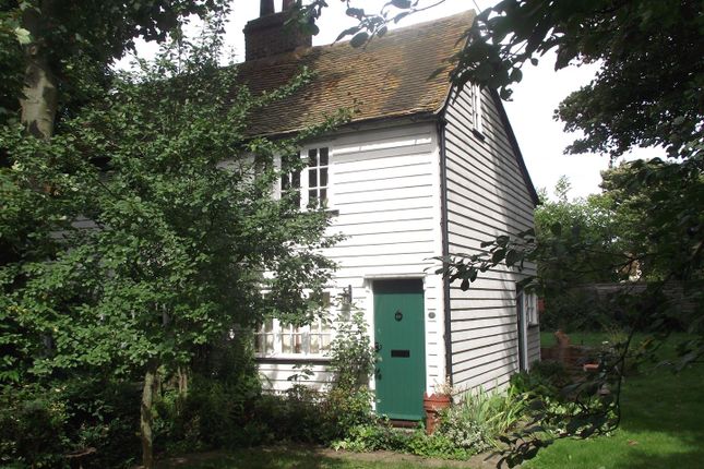 Thumbnail Semi-detached house to rent in Briar Cottage, The Green, Feering