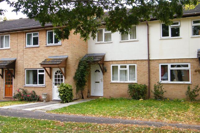 2-bed house on Orchid Close, Taunton, £1,150/mo
