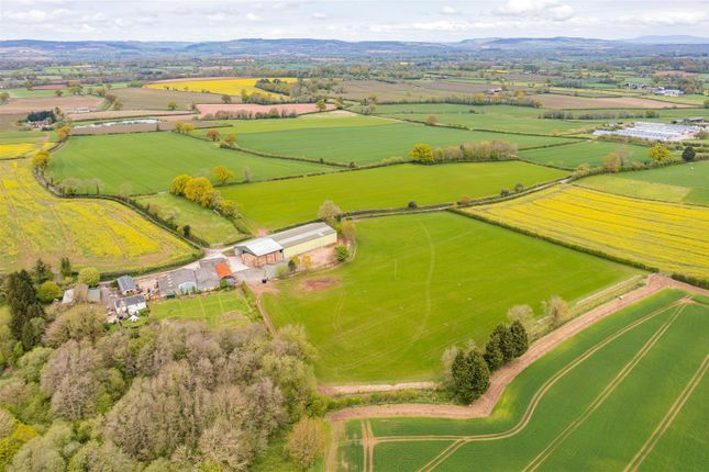 Thumbnail Farm for sale in Weobley, Hereford