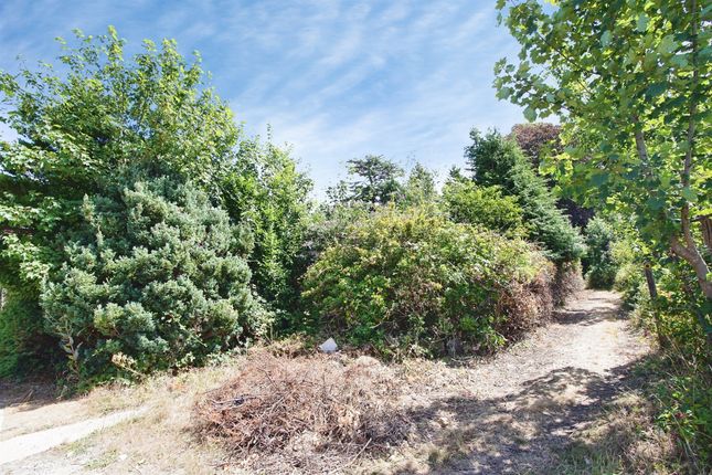 Land At Pease Pottage Nurseries, Brighton Road, Crawley photo 4