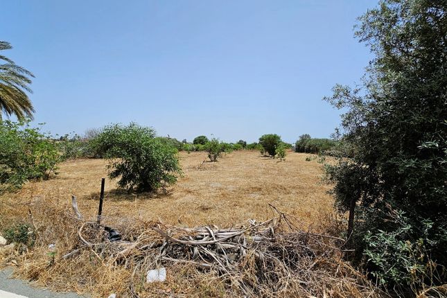 Land for sale in Ayia Marinouda, Cyprus