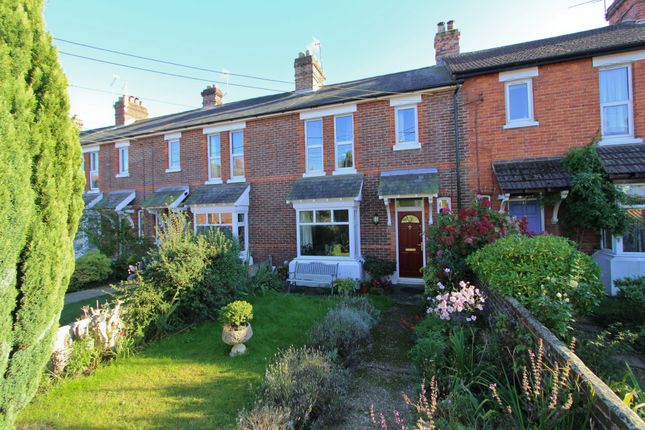 Thumbnail Terraced house to rent in Osborne Road, Petersfield, Hampshire