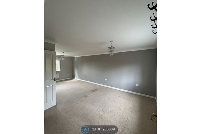 Detached house to rent in Harrow Way, Reading