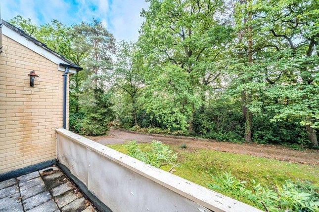 Detached house for sale in Tekels Park, Camberley, Surrey