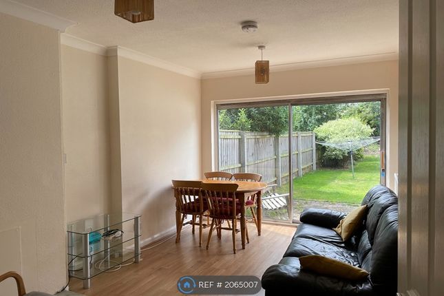 Semi-detached house to rent in Neville Road, Cambridge