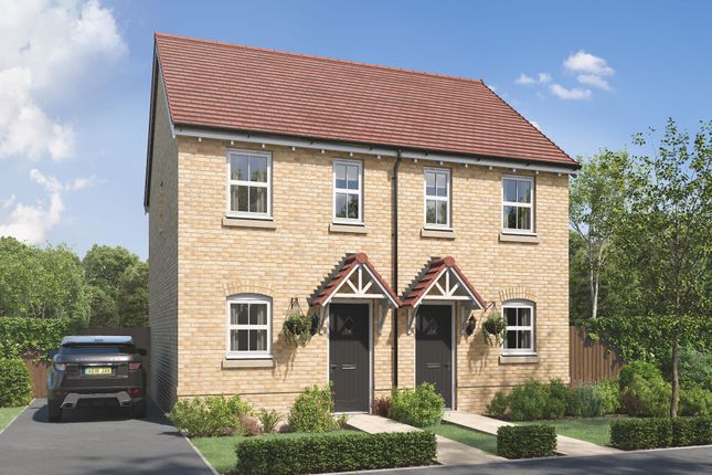 End terrace house for sale in "The Alnmouth" at Camshaws Road, Lincoln